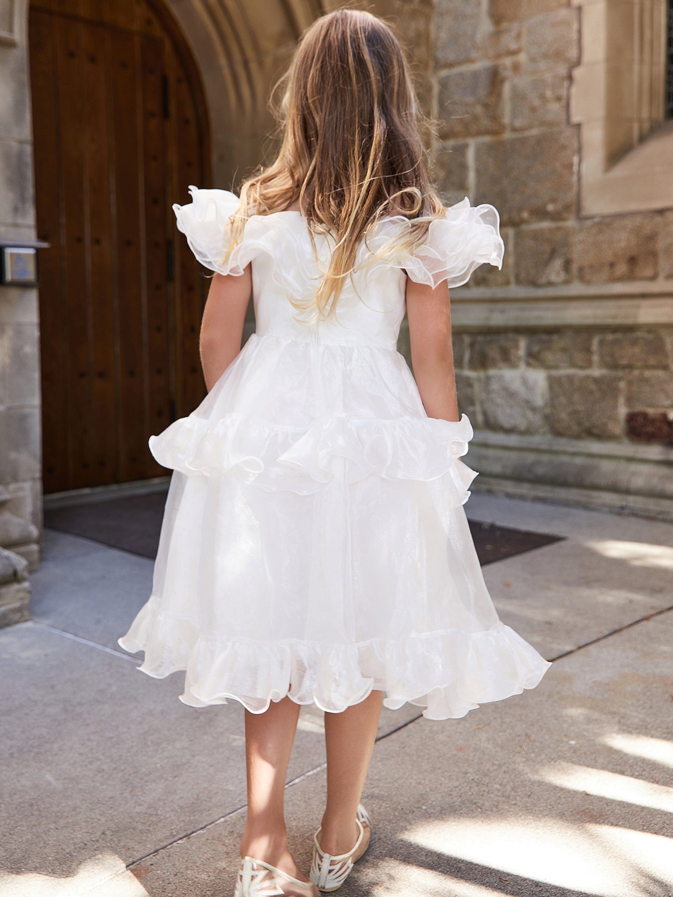 Girl's Ruffle Trim Organza Overlay Party Dress