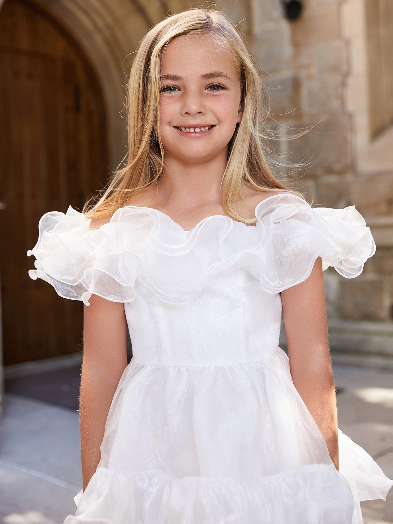 Girl's Ruffle Trim Organza Overlay Party Dress